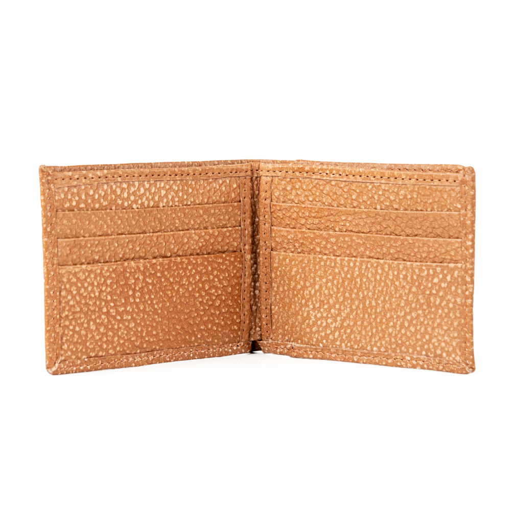 BALI H. DÓLAR — imagen 3